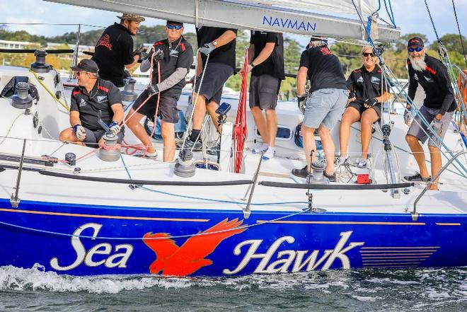Division one – Commodore's Cup winner Sea Hawk ©  Salty Dingo